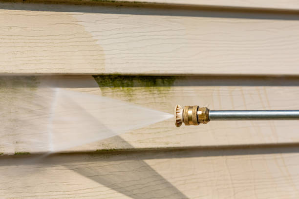 Best Garage Pressure Washing  in Haiku Pauwela, HI